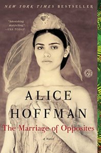 the-marriage-of-opposites-alice-hoffman